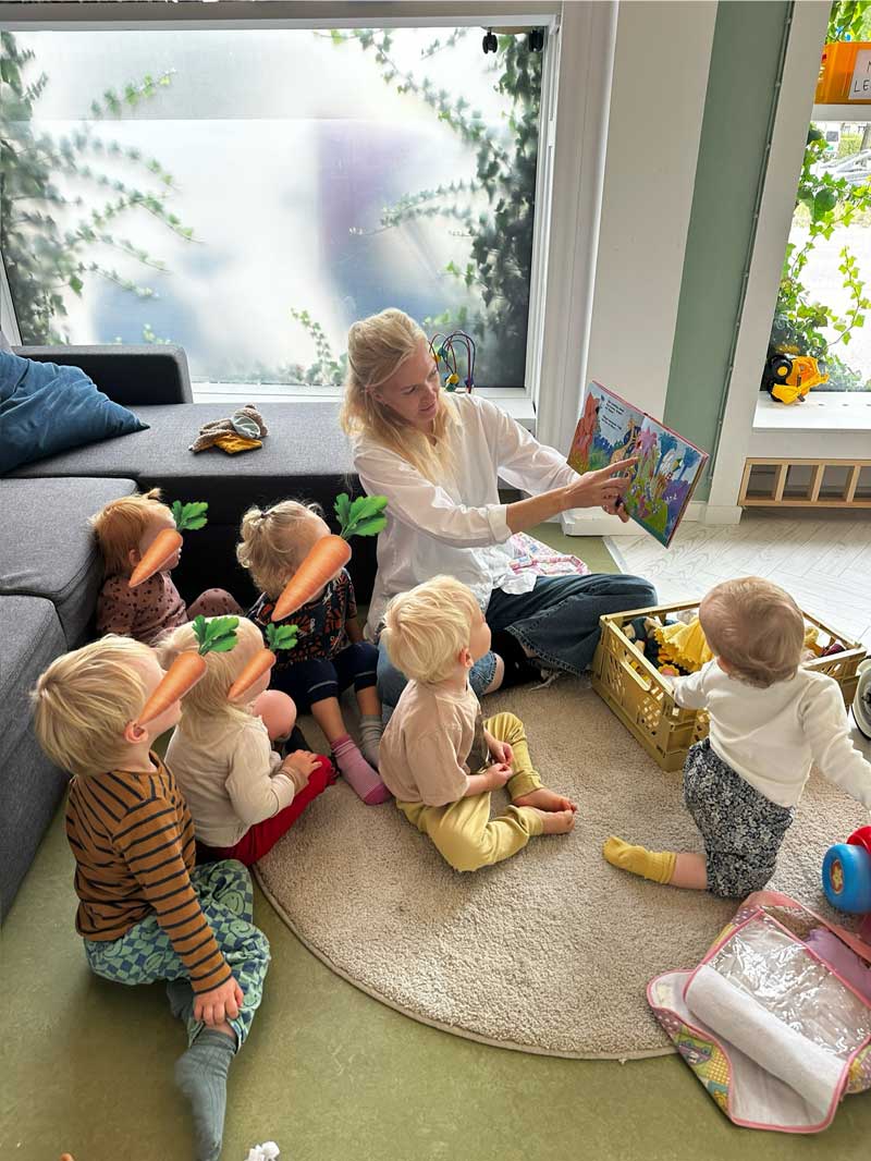 Pædagogisk praksis i Kong Gulerod